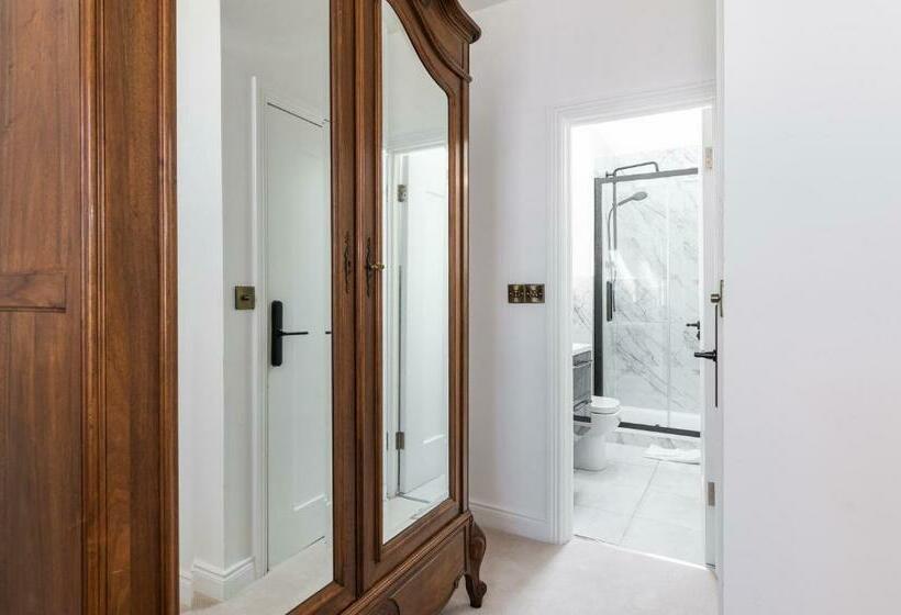 Camera Standard, Number 59 Dublin