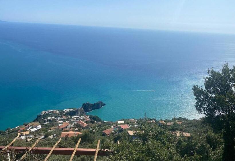 豪华海景房, Bed&breakfast Miramare