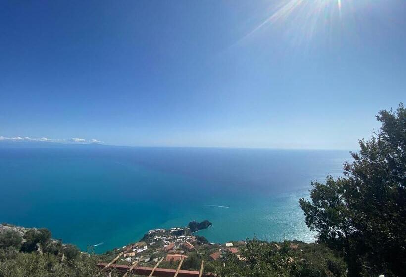 豪华海景房, Bed&breakfast Miramare