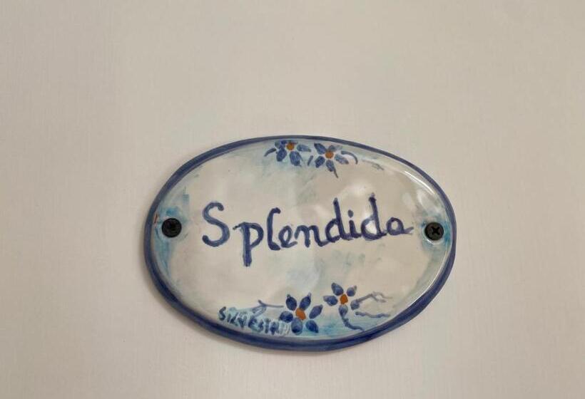 标准房带园景, Bed&breakfast Miramare