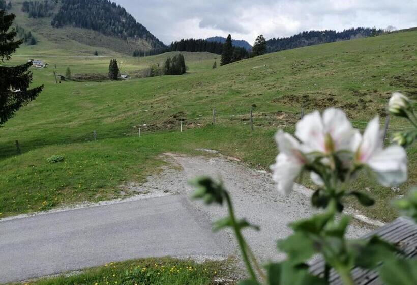 דירה בת חדר שינה 1 עם נוף, Haus Obweg   Postalm