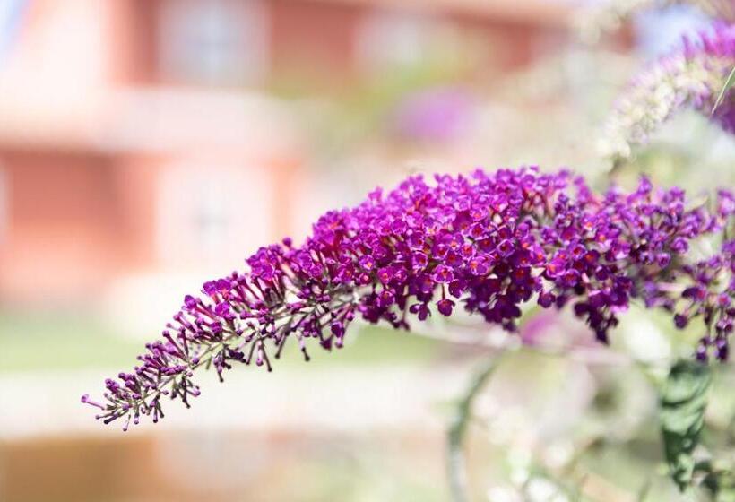 جناح جونيور مطل على الحديقة, Tenuta Fogliani Resort & Natural Spa