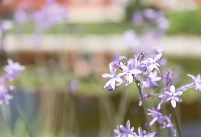 庭の見えるジュニアスイート, Tenuta Fogliani Resort & Natural Spa