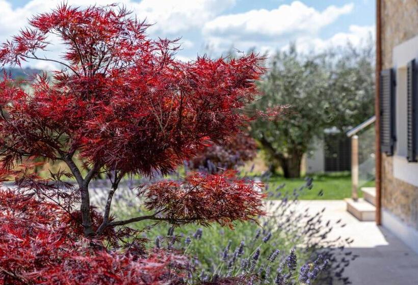 Люкс Superior, Tenuta Fogliani Resort & Natural Spa