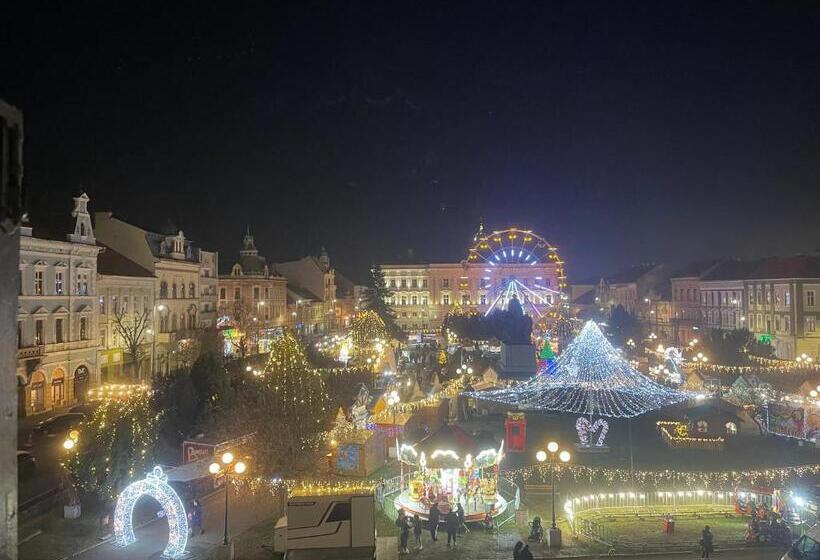 آپارتمان سوپریور 1 خوابه, Cozyflat In The Central Arad