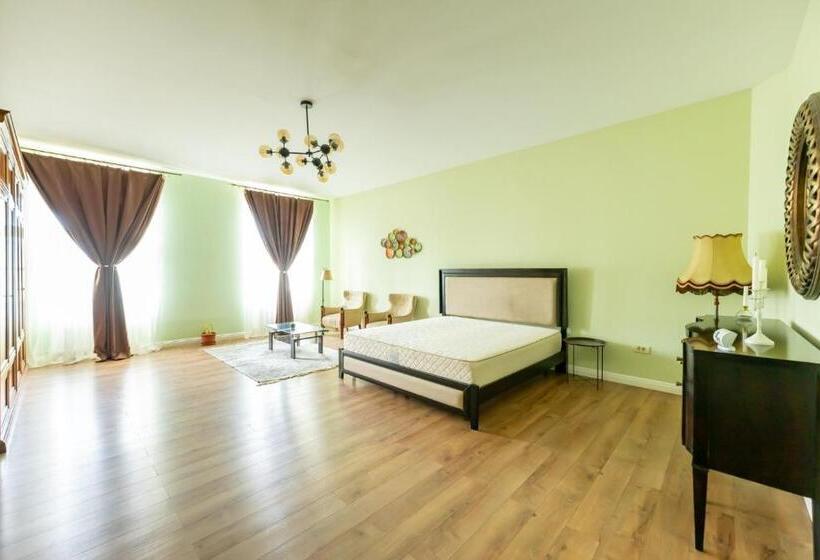آپارتمان سوپریور 1 خوابه, Cozyflat In The Central Arad