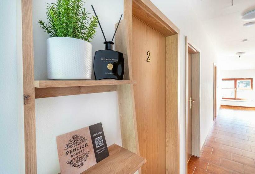 Номер Стандарт, Penzion Laguna