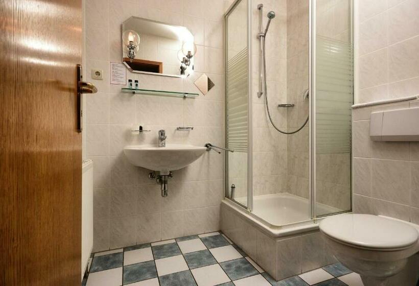 スタンダードシングルルーム, Am Stadtwald