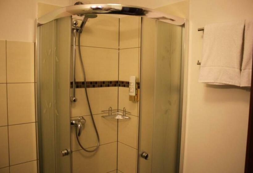 Номер Стандарт, As