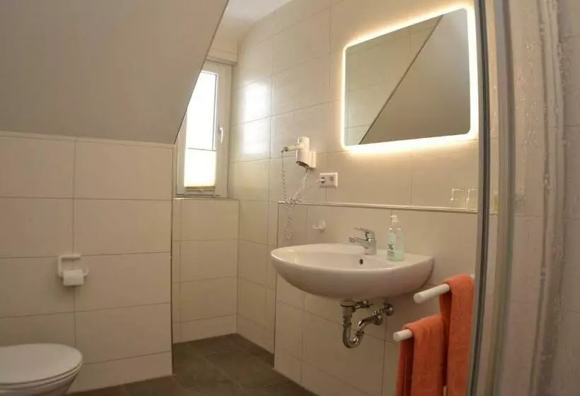Standard-huone, Brigel Hof