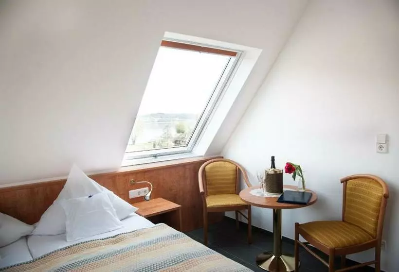 レイクビュースタンダードルーム, Insel Hof Reichenau Hotel Garni