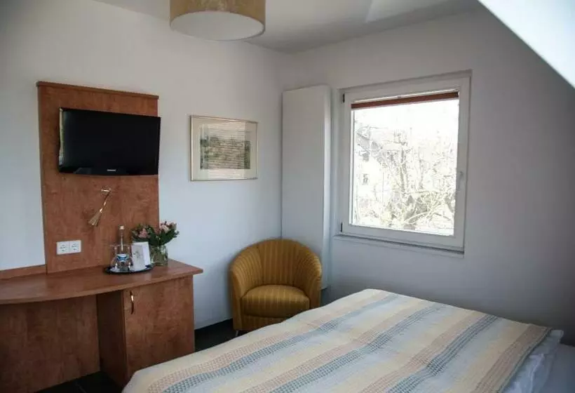 レイクビュースタンダードルーム, Insel Hof Reichenau Hotel Garni
