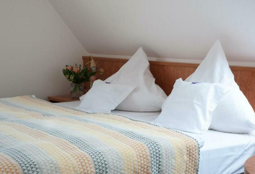 스탠다드 룸 호수 전망, Insel Hof Reichenau Hotel Garni