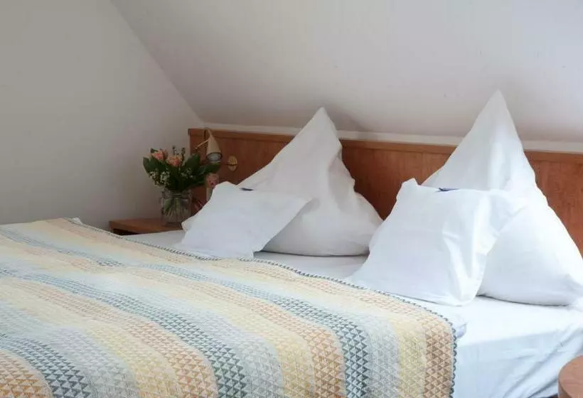 レイクビュースタンダードルーム, Insel Hof Reichenau Hotel Garni