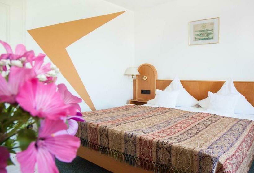 스탠다드 룸 호수 전망, Insel Hof Reichenau Hotel Garni