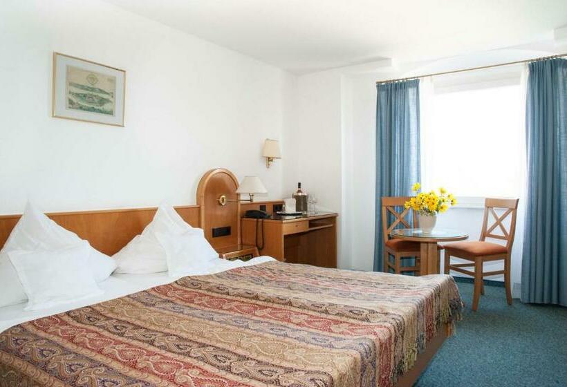 스탠다드 룸 호수 전망, Insel Hof Reichenau Hotel Garni