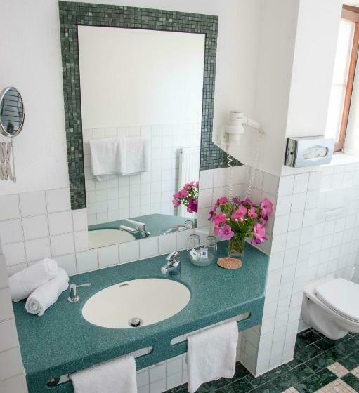 스탠다드 룸 호수 전망, Insel Hof Reichenau Hotel Garni