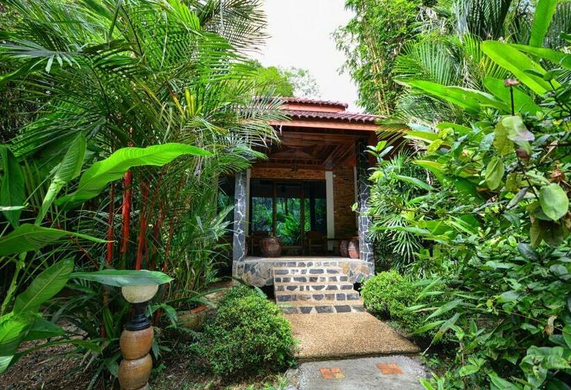 标准间, Khaosok And Spa