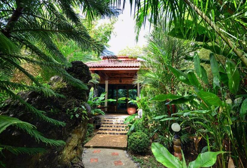 标准间, Khaosok And Spa