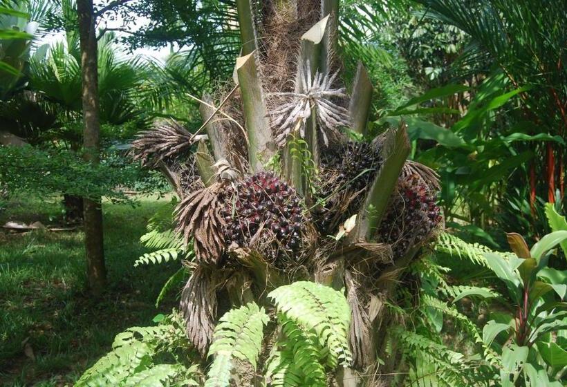 家庭洋房, Khaosok And Spa