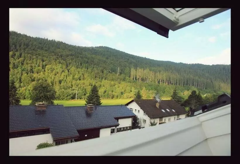 スタンダードシングルルーム, Pension Blaues Haus