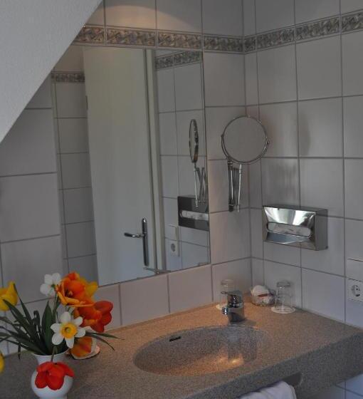 클래식 싱글 룸, Insel Hof Reichenau Hotel Garni