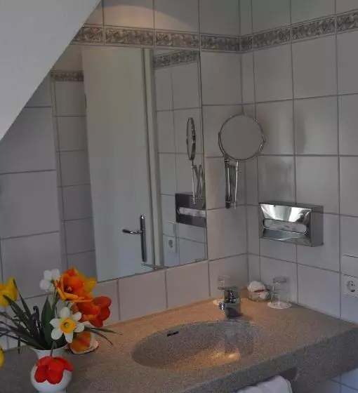 クラシックシングルルーム, Insel Hof Reichenau Hotel Garni