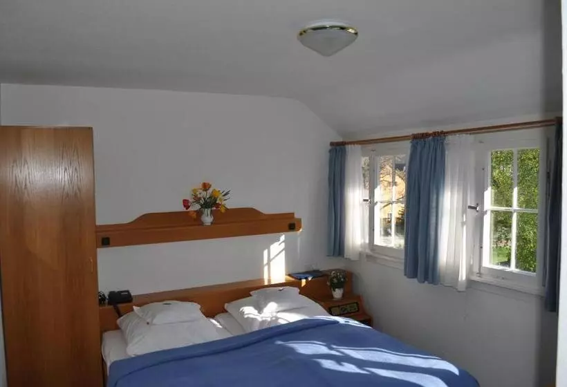 クラシックシングルルーム, Insel Hof Reichenau Hotel Garni