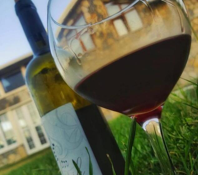 豪华海景房, Villa Blacksea