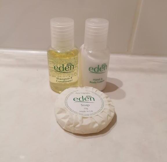 חדר סטנדרט עם מיטת קינג, The Prince Of Wales