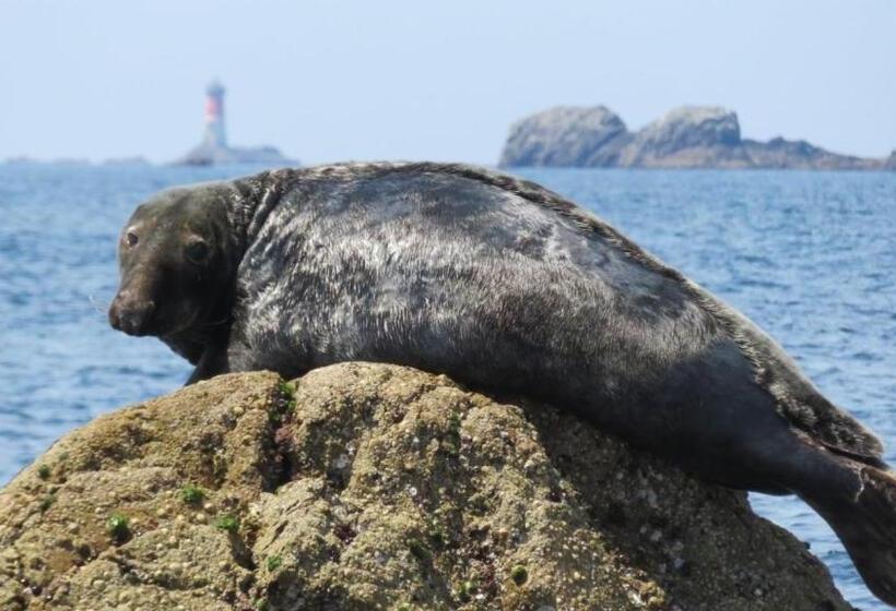 디럭스 룸 바다 전망, La Chambre De L Embarcadère