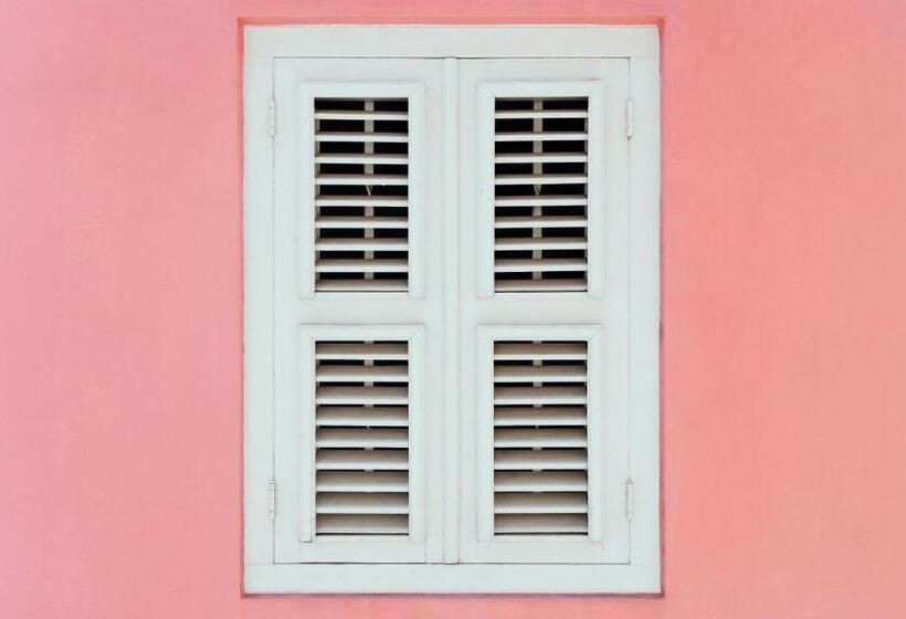 آپارتمان 1 خوابه همکف, Pietermaai Oasis