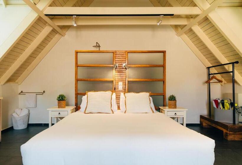 استودیوی استاندارد, Pietermaai Oasis