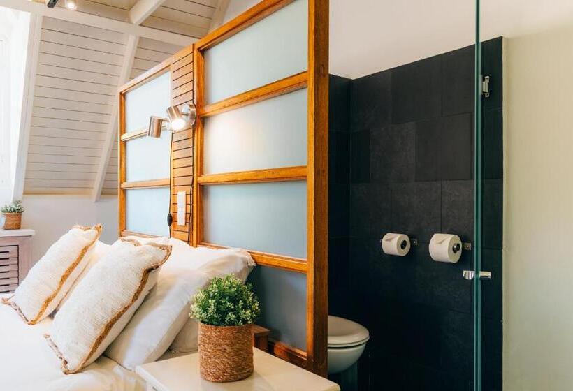 استودیوی استاندارد, Pietermaai Oasis