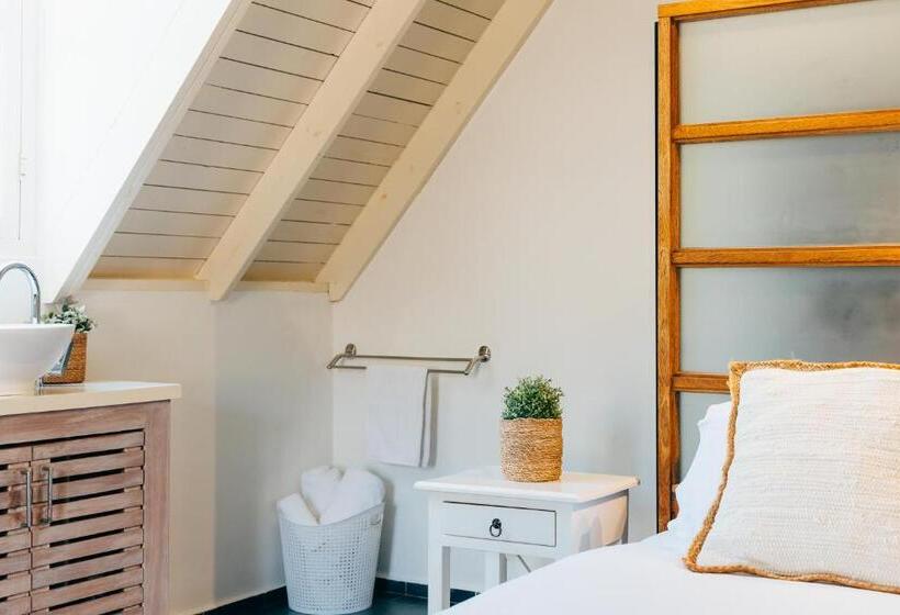 استودیوی استاندارد, Pietermaai Oasis