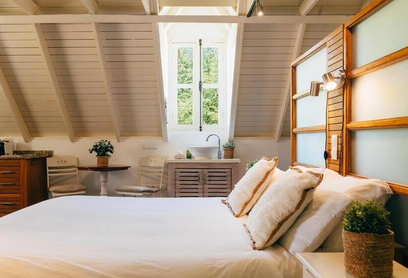 استودیوی استاندارد, Pietermaai Oasis