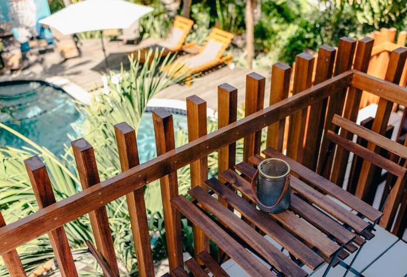 استودیوی سوپریور, Pietermaai Oasis