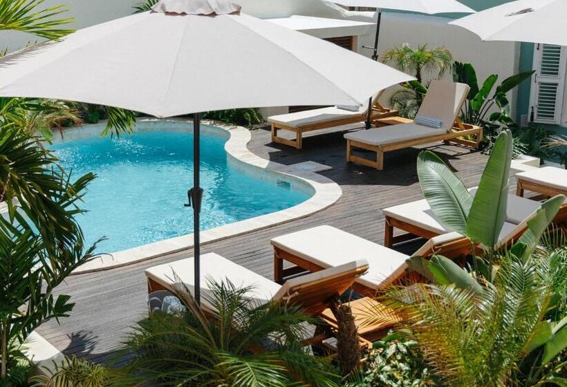 استودیو استاندارد با تراس, Pietermaai Oasis