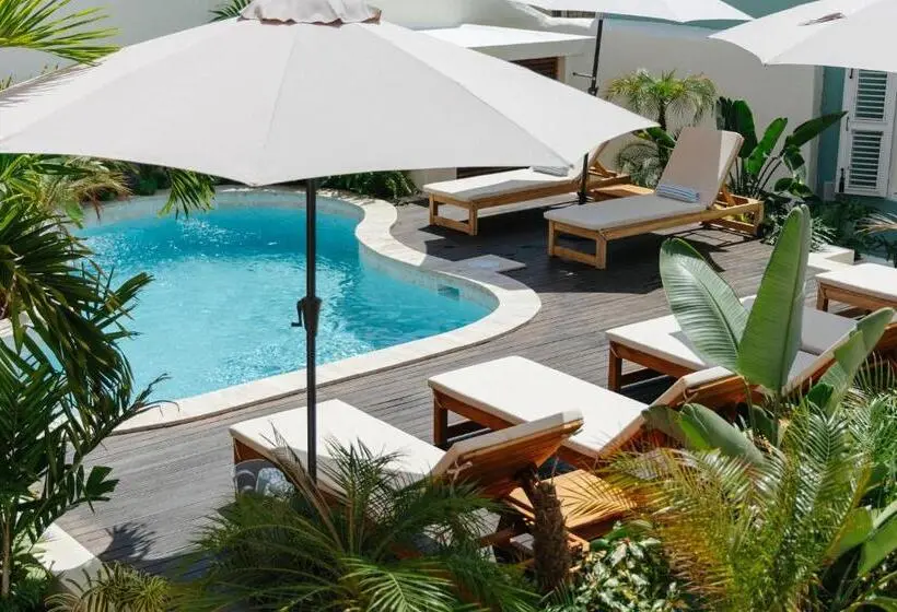 استودیو استاندارد با تراس, Pietermaai Oasis