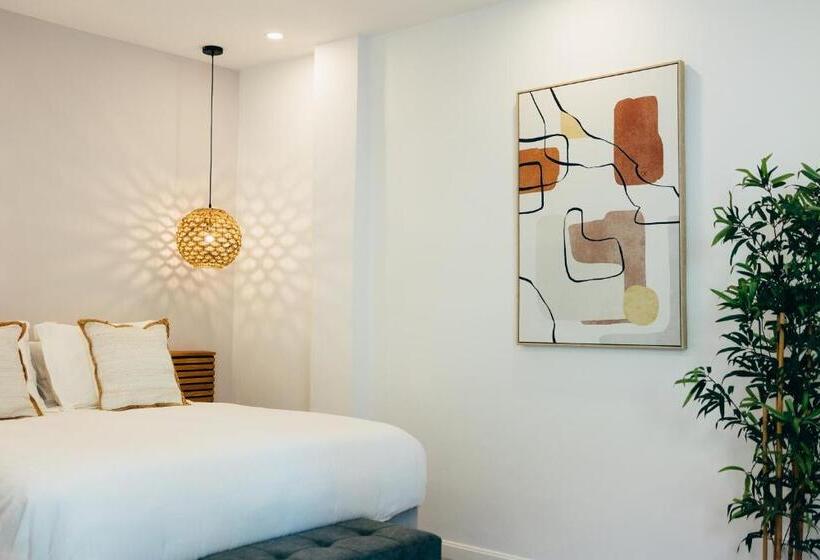 استودیو استاندارد با تراس, Pietermaai Oasis