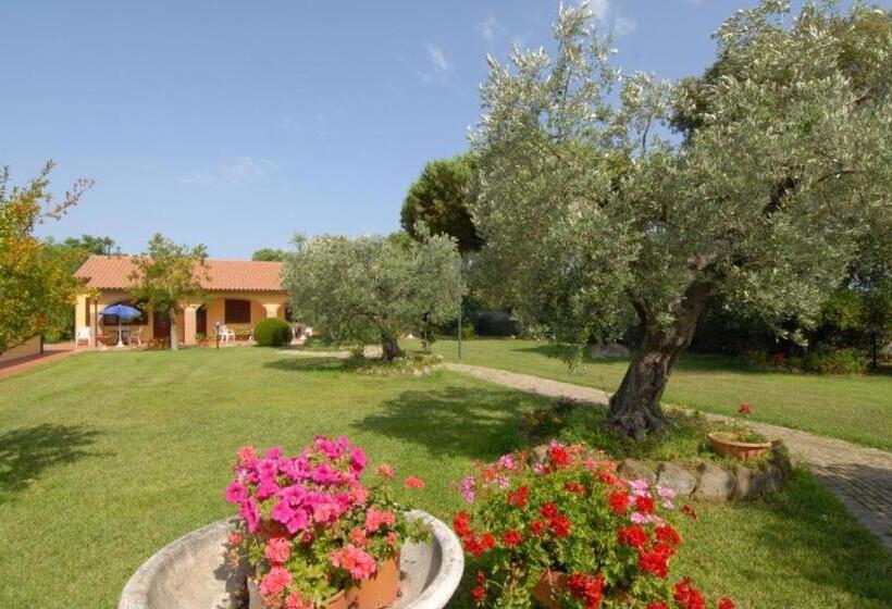 דירת חדר סופריור, Il Girasole   Ginestra