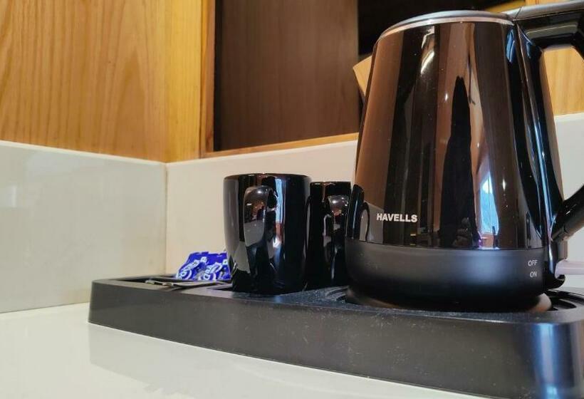 غرفة قياسية مطلة على الجبل, Kaithal Resort   Kasauli