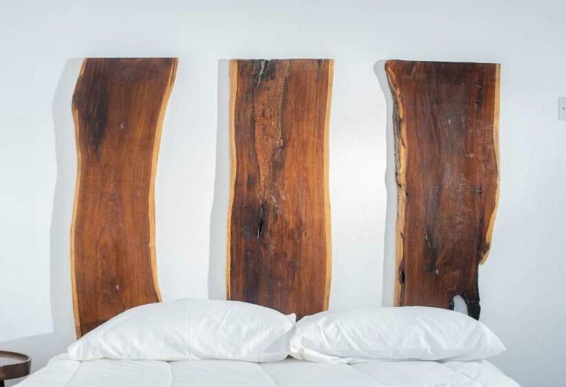 اتاق استاندارد, Sunnyside