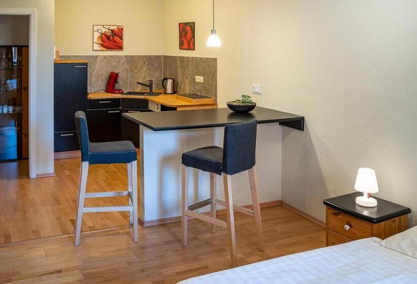 带1个卧室的公寓, Birschelmuhle