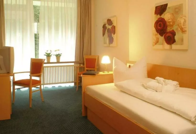 Standard Yhden Hengen Invahuone, Gesundheitshotel Das Bad Peterstal