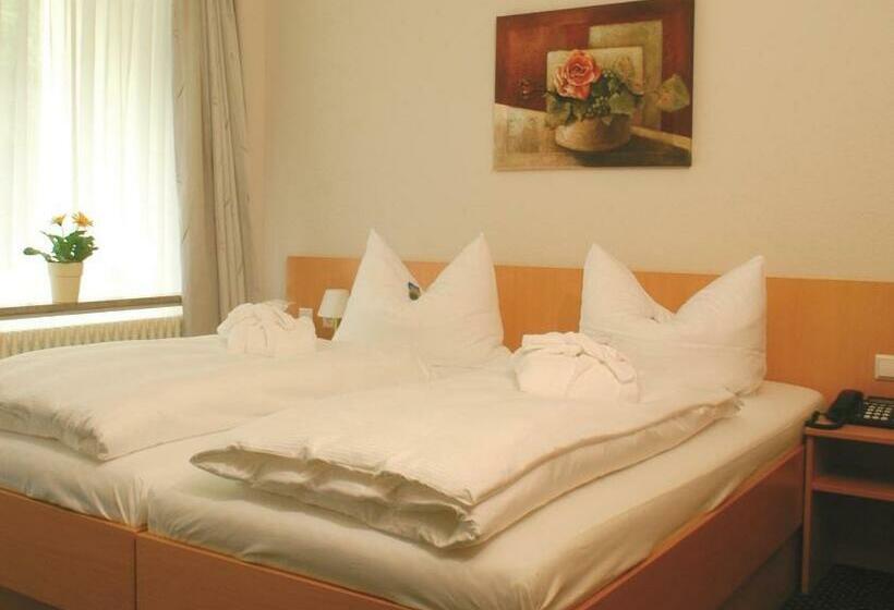 Apartamento 1 Quarto, Gesundheitshotel Das Bad Peterstal