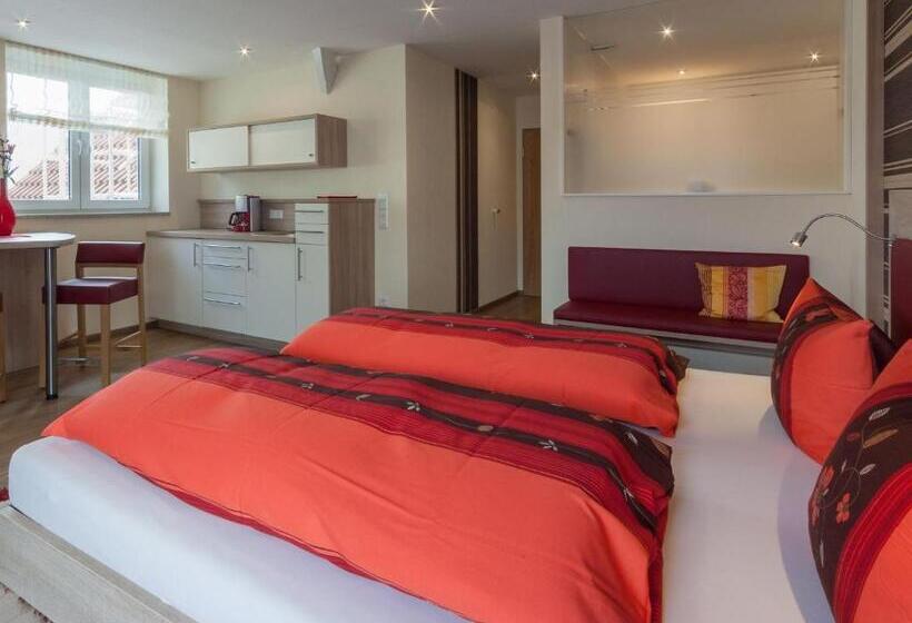 Standard studio with lake view, Gästehaus Am Bodensee