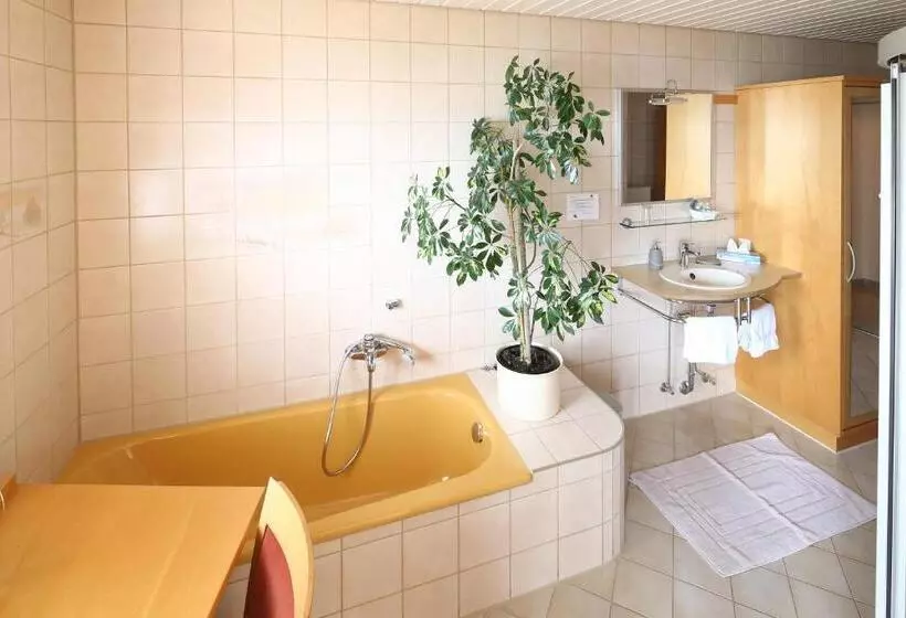 Standard Yhden Hengen Huone, Gästehaus Am Bodensee