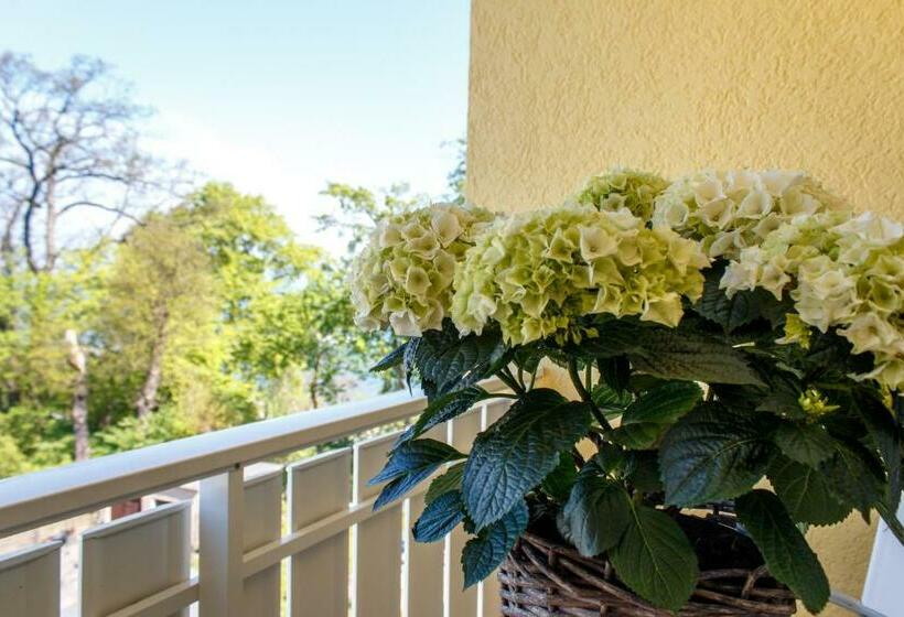 חדר סטנדרט יחיד, Inselhotel Rügen