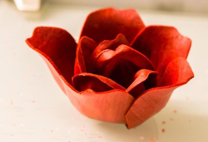 标准间, The Soho Boutique